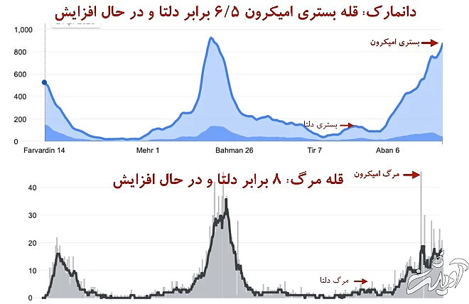 این جدولها را ببینید: مرگ در اثر امیکرون بیشتر از مرگ به خاطر دلتا